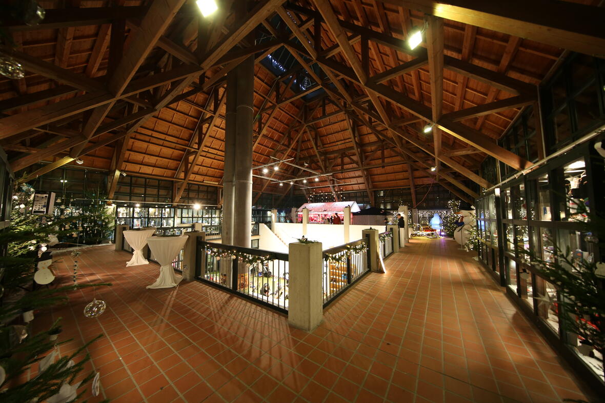 ausstellen_2022_11_26_neuburger_weihnacht0053